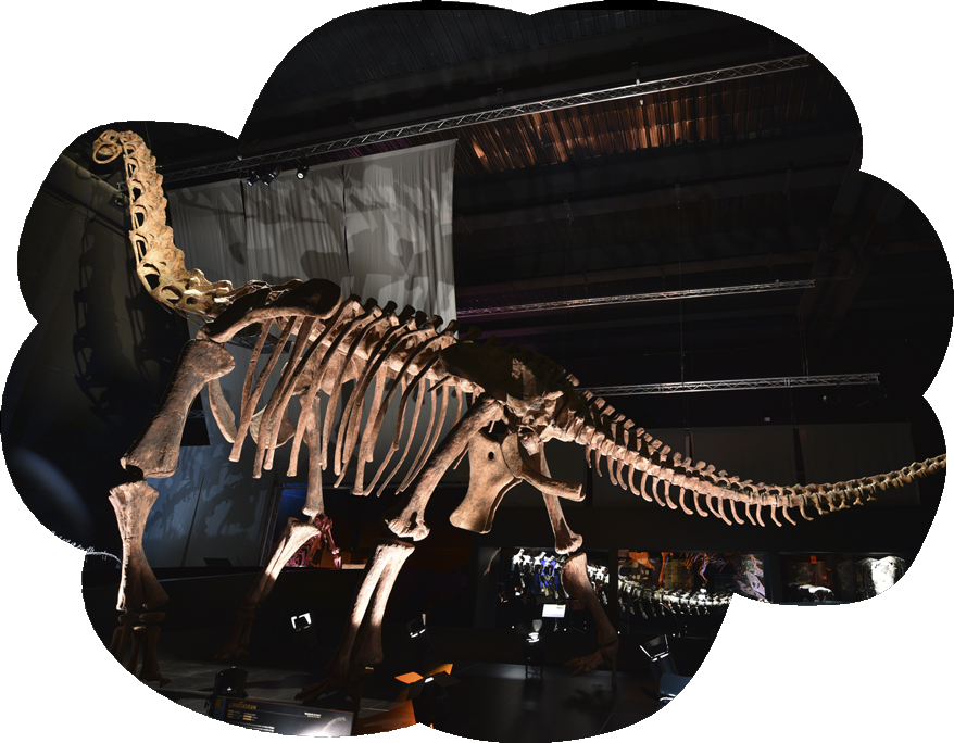O como este  Giraffatitan...
